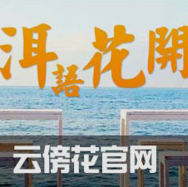 藝之都推薦產(chǎn)品6