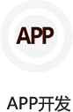 APP開發(fā)/