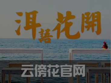 案例是我們最好的名片
