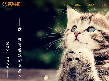 案例是我們最好的名片