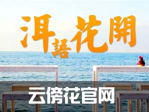 云傍花官網-民宿第一品牌