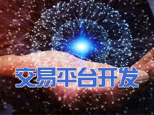 虛擬貨幣交易平臺