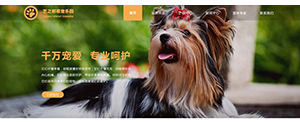 寵物