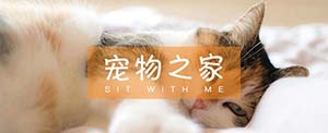寵物