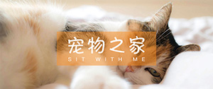 寵物
